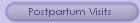 Postpartum Visits